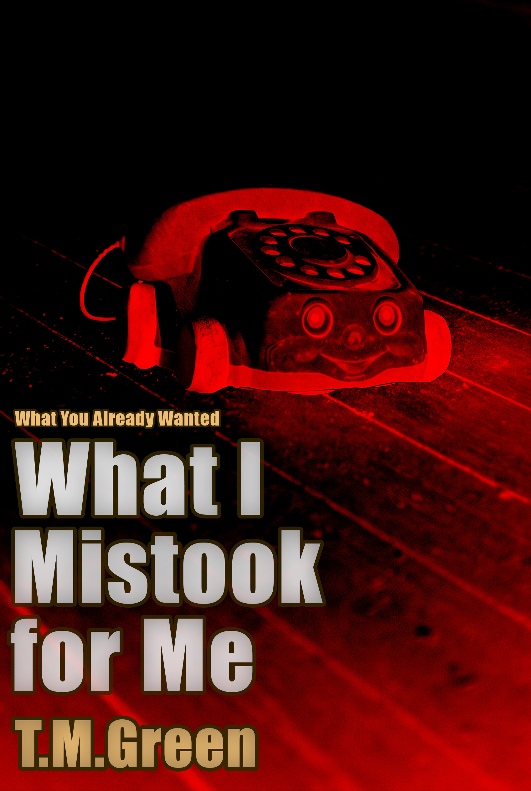 What I Mistook for Me